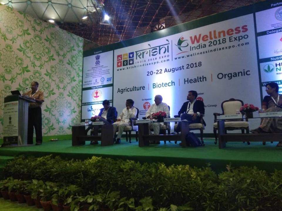 Wellness Environment